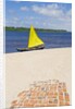 Cabure village at Lencois Maranhenses National Park, Brazil by Anonymous