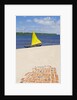 Cabure village at Lencois Maranhenses National Park, Brazil by Anonymous