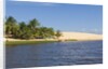 Preguicas River at Lencois Maranheinses National Park, Brazil by Anonymous