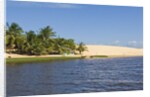 Preguicas River at Lencois Maranheinses National Park, Brazil by Anonymous