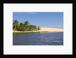 Preguicas River at Lencois Maranheinses National Park, Brazil by Anonymous