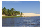 Preguicas River at Lencois Maranheinses National Park, Brazil by Anonymous