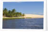 Preguicas River at Lencois Maranheinses National Park, Brazil by Anonymous