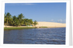 Preguicas River at Lencois Maranheinses National Park, Brazil by Anonymous