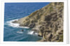 View of Pollara, Sicily, Italy by Anonymous