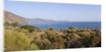 View of Rinella, Sicily, Italy by Anonymous