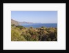View of Rinella, Sicily, Italy by Anonymous