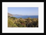 View of Rinella, Sicily, Italy by Anonymous