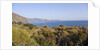 View of Rinella, Sicily, Italy by Anonymous