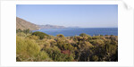 View of Rinella, Sicily, Italy by Anonymous