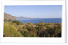 View of Rinella, Sicily, Italy by Anonymous