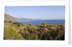 View of Rinella, Sicily, Italy by Anonymous