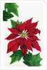 Vintage Illustration of Christmas Poinsettia by Anonymous