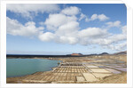 Janubio salt work near El Golfo, Lanzarote, Yaiza, Spain by Anonymous
