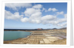 Janubio salt work near El Golfo, Lanzarote, Yaiza, Spain by Anonymous