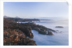 Waves crashing against rocky coast, Lanzarote, Spain by Anonymous