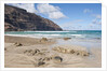 Canteria beach, near Orzola, Lanzarote, Spain by Anonymous