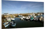 Seaport at Groix island, France by Anonymous
