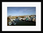 Seaport at Groix island, France by Anonymous