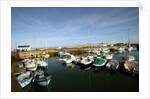 Seaport at Groix island, France by Anonymous