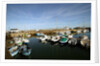 Seaport at Groix island, France by Anonymous