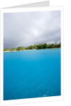 Blue water with beach, Sandy Lane Beach, Barbados by Anonymous