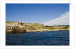Sea coast, Parco Naturale di Porto Selvaggio, Torre dell'Alto, Nardo, Italy by Anonymous