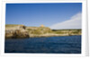 Sea coast, Parco Naturale di Porto Selvaggio, Torre dell'Alto, Nardo, Italy by Anonymous