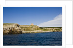 Sea coast, Parco Naturale di Porto Selvaggio, Torre dell'Alto, Nardo, Italy by Anonymous
