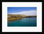 Sea coast, Parco Naturale di porto Selvaggio, Nardo, Italy by Anonymous