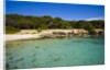 Sea coast, Parco Naturale di porto Selvaggio, Nardo, Italy by Anonymous