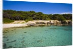 Sea coast, Parco Naturale di porto Selvaggio, Nardo, Italy by Anonymous