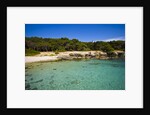 Sea coast, Parco Naturale di porto Selvaggio, Nardo, Italy by Anonymous