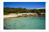 Sea coast, Parco Naturale di porto Selvaggio, Nardo, Italy by Anonymous