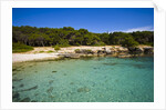 Sea coast, Parco Naturale di porto Selvaggio, Nardo, Italy by Anonymous