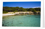 Sea coast, Parco Naturale di porto Selvaggio, Nardo, Italy by Anonymous