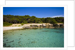 Sea coast, Parco Naturale di porto Selvaggio, Nardo, Italy by Anonymous