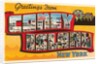 Greetings from Coney Island, New York by Anonymous