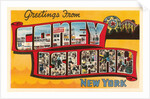 Greetings from Coney Island, New York by Anonymous
