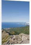 Sea coast from Monte Capanne, Italy by Anonymous