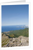 Sea coast from Monte Capanne, Italy by Anonymous