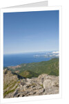 Sea coast from Monte Capanne, Italy by Anonymous