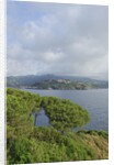 View of bay from Forte Focardo, Porto Azzurro, Italy by Anonymous