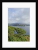 View of bay from Forte Focardo, Porto Azzurro, Italy by Anonymous