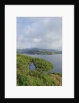 View of bay from Forte Focardo, Porto Azzurro, Italy by Anonymous