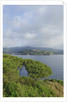 View of bay from Forte Focardo, Porto Azzurro, Italy by Anonymous