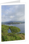 View of bay from Forte Focardo, Porto Azzurro, Italy by Anonymous