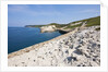 Sea coast at Punta Tangone, Sardinia, Italy by Anonymous