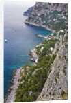 Coast from Giardini di Augusto, Capri, Capri Island, Campania, Italy by Anonymous