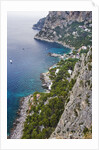 Coast from Giardini di Augusto, Capri, Capri Island, Campania, Italy by Anonymous